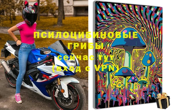 хмурый Дегтярск